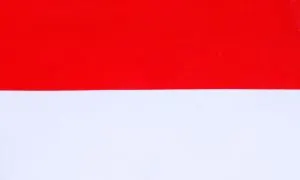 NT Indonesia