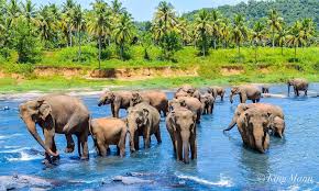 Day Day 02 : Kandy - 