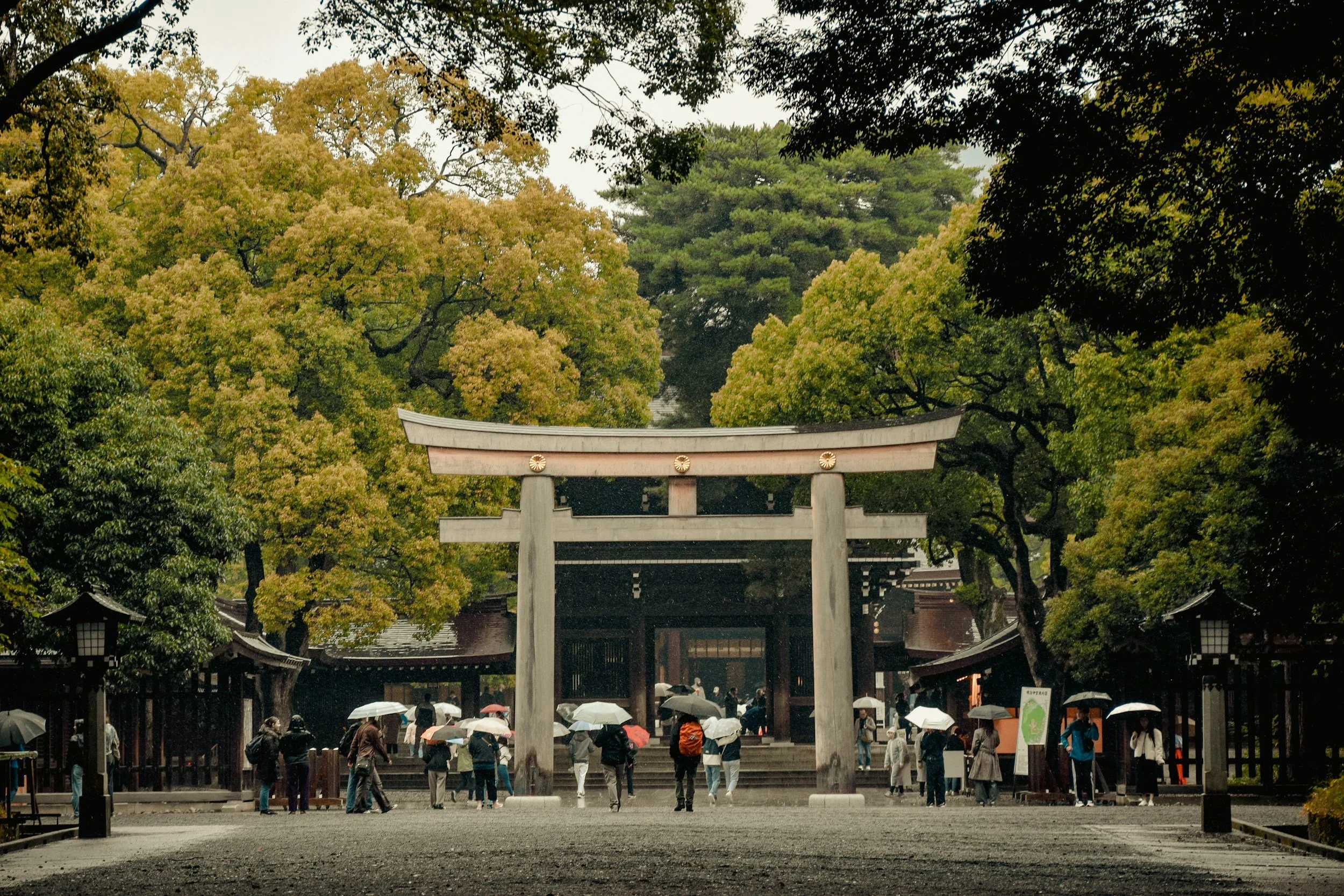 Japan Group Tour 2026 - Image 3