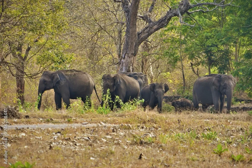 Day Day 18 : Trichy – Muthumalai – Mahabalipuram - 