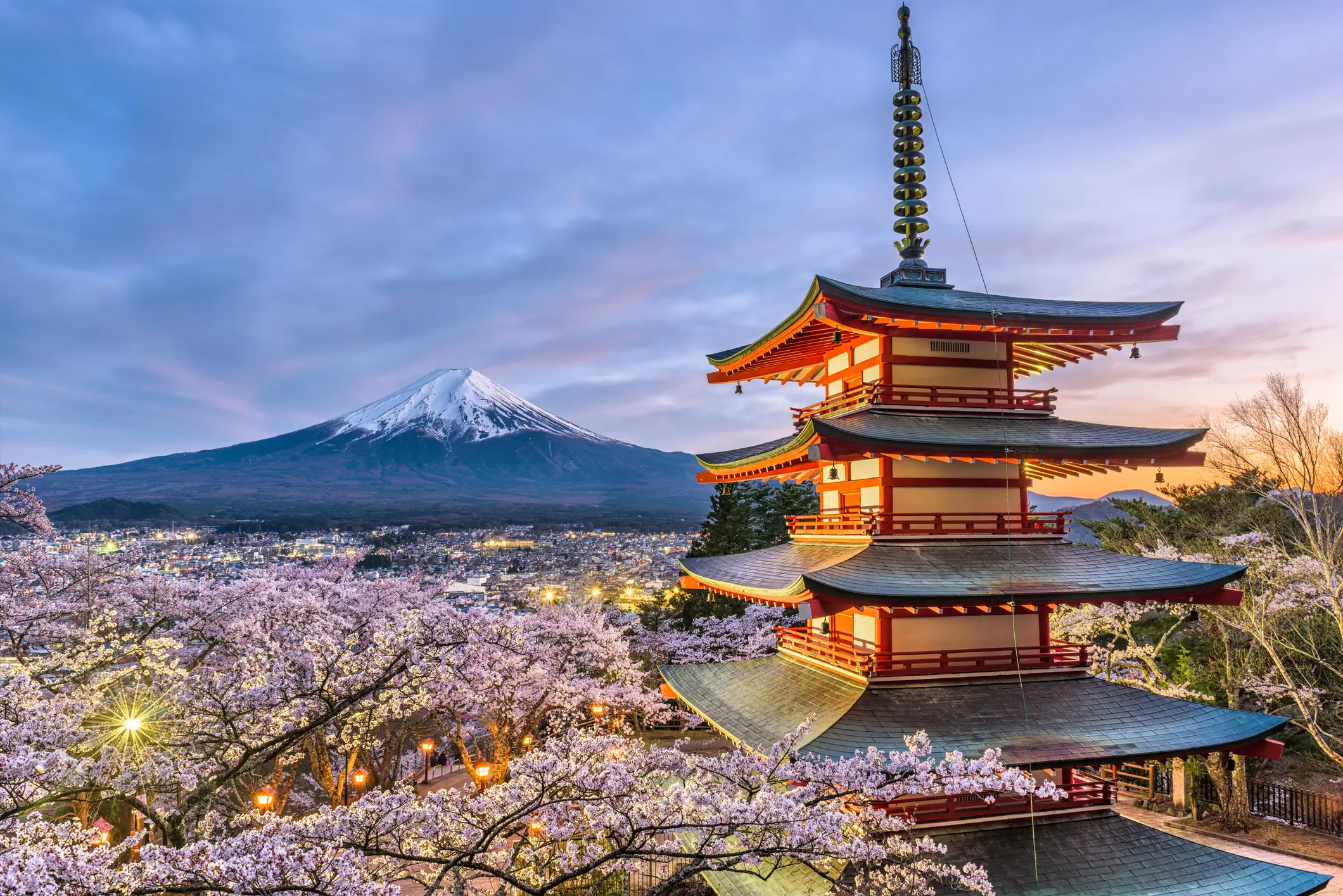 Japan Group Tour 2026 - Image 4