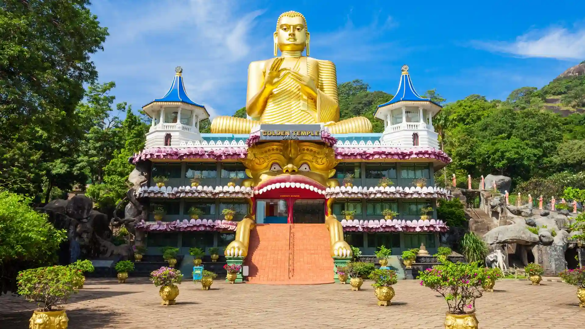 Tour Image